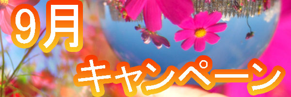 9月キャンペーン