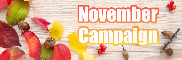 今月のキャンペーン